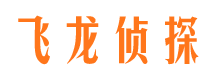 高青侦探